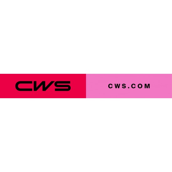 CWS Foam standard 0,5 L