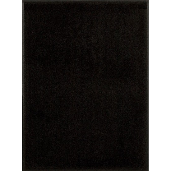 Inloopmat nylon anthracite 150x200